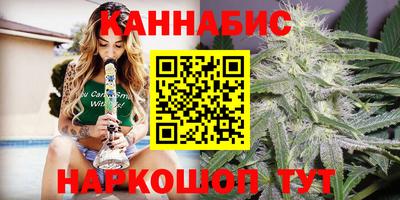 стаф Кандалакша
