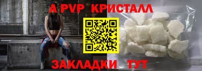 стаф Кандалакша
