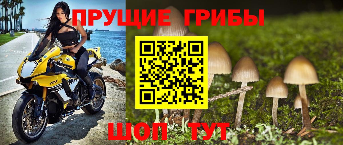 Галлюциногенные грибы MAGIC MUSHROOMS  Вход с VPN  Евпатория 